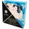 Shunga Crystals Bath Salts Lotus Flower 75g – Sales De Baño Productos para el Baño The Sex Toys Factory