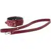 Dream Toys Blaze Elite Collar And Leash Red - The Sex Toys Factory